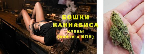 спиды Заводоуковск