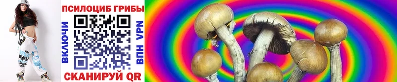 Купить где  Гулькевичи  Псилоцибиновые грибы Psilocybine cubensis 